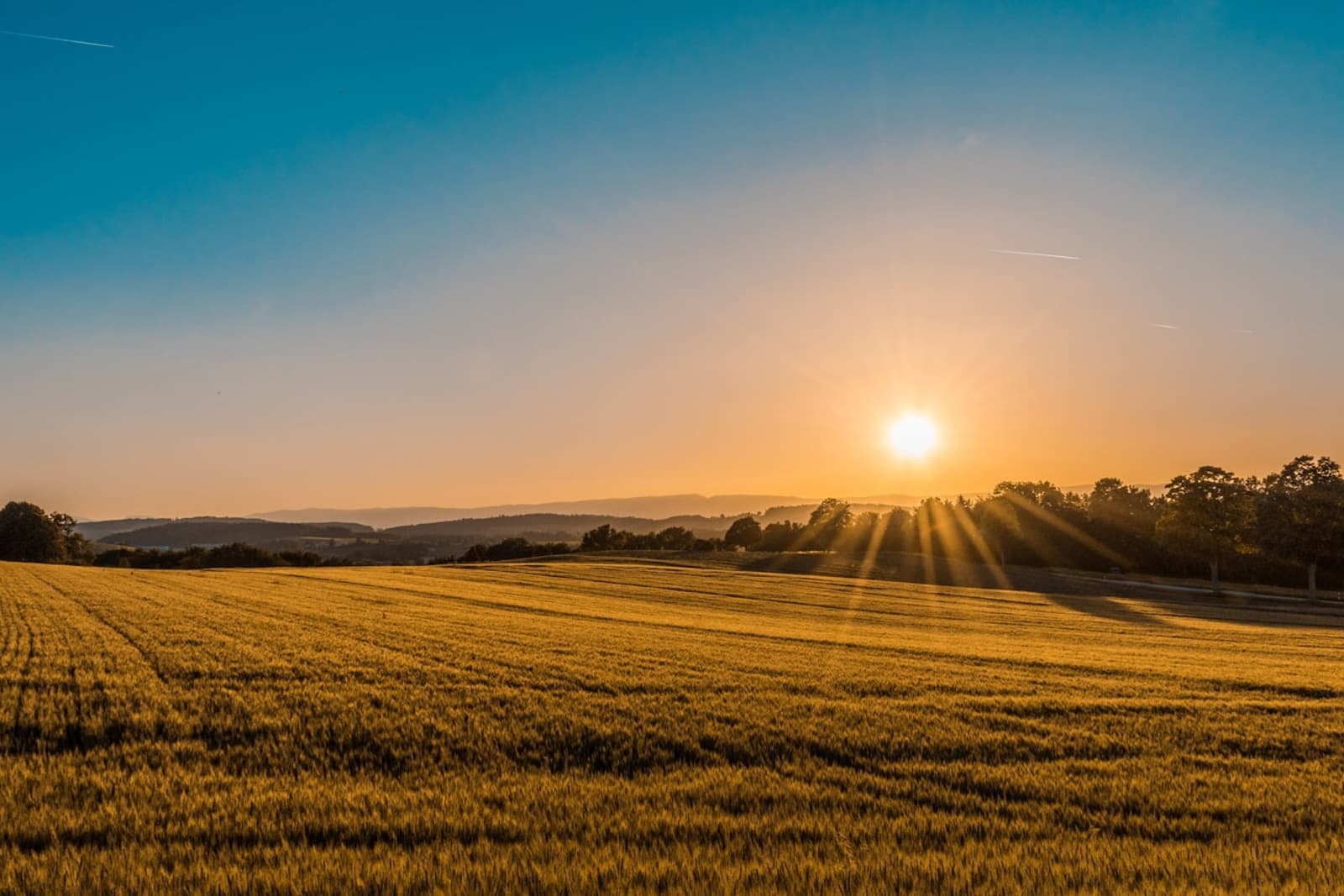 Level open plot at golden hour with road access